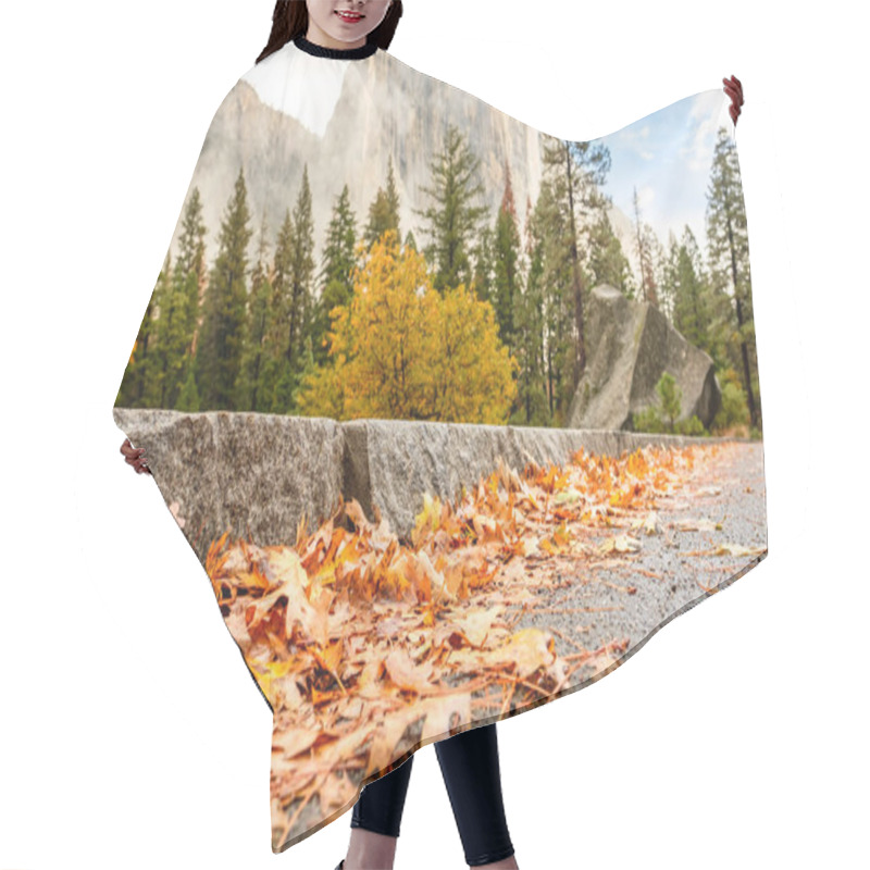 Personality  Alley With Fallen Leaves On Wet Asphalt Hair Cutting Cape