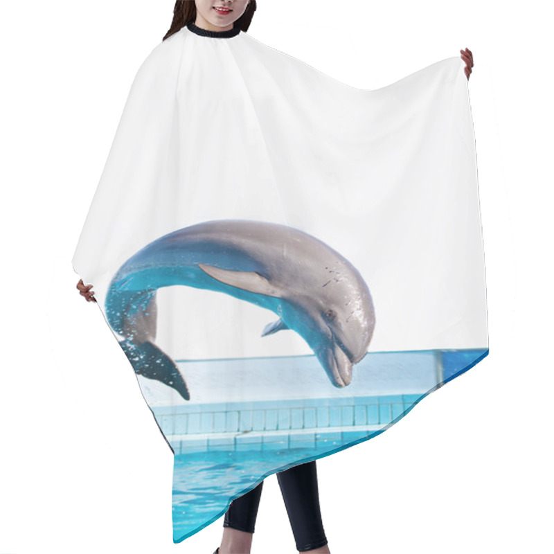 Personality  Dolphin Jumping Hair Cutting Cape