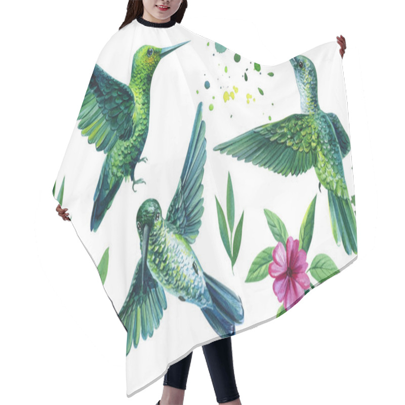 Personality  Set Of Tropical Birds And Flower On An Isolated White Background, Watercolor Illustration. Hummingbird Hair Cutting Cape