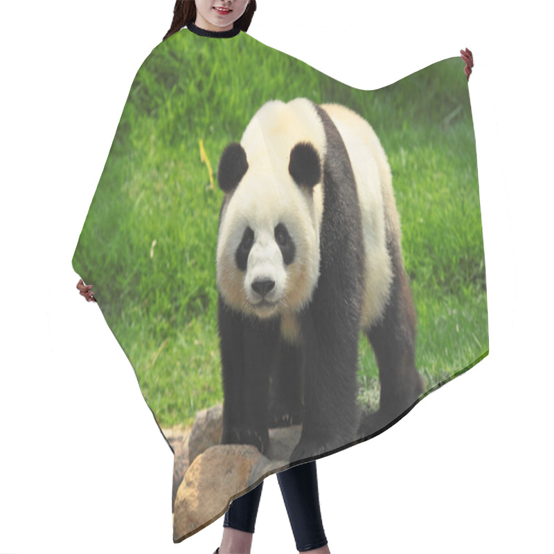 Personality  Wild Panda Hair Cutting Cape