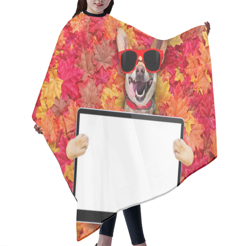 Personality  Chihuahua  Dog , Lying On The Ground Full Of Fall Autumn Leaves, Looking At You  With A Smile,   Lying On The Back Torso, Holding Ebook, Touch Pad Pc Computer Tablet Hair Cutting Cape