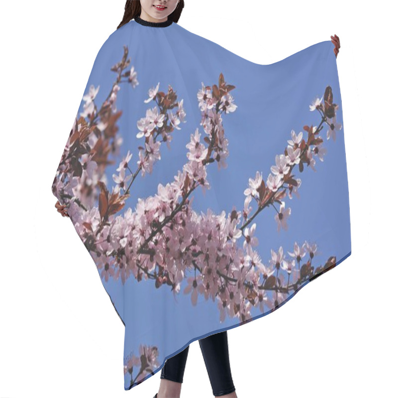 Personality  Blossoming Branches Of Purple Leaved Cherry Plum  Hair Cutting Cape