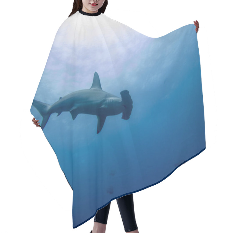 Personality  Hammerhead Shark Malpelo Island Hair Cutting Cape