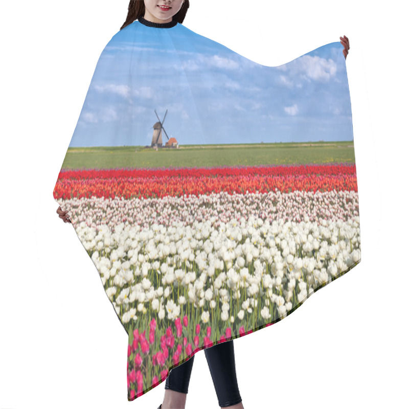 Personality  Blossoming Tulip Flowers And Dutch Windmill Hair Cutting Cape