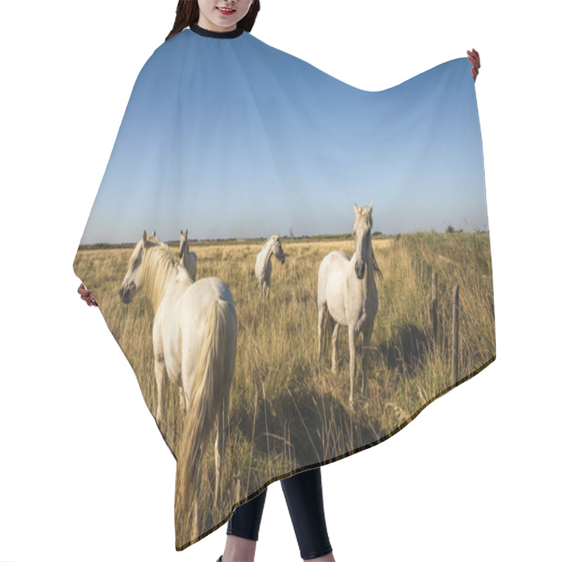 Personality  Horses Hair Cutting Cape