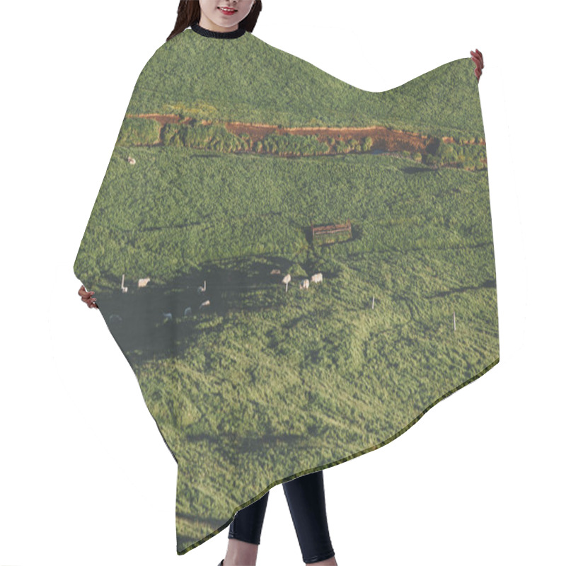 Personality  Aerial Hair Cutting Cape