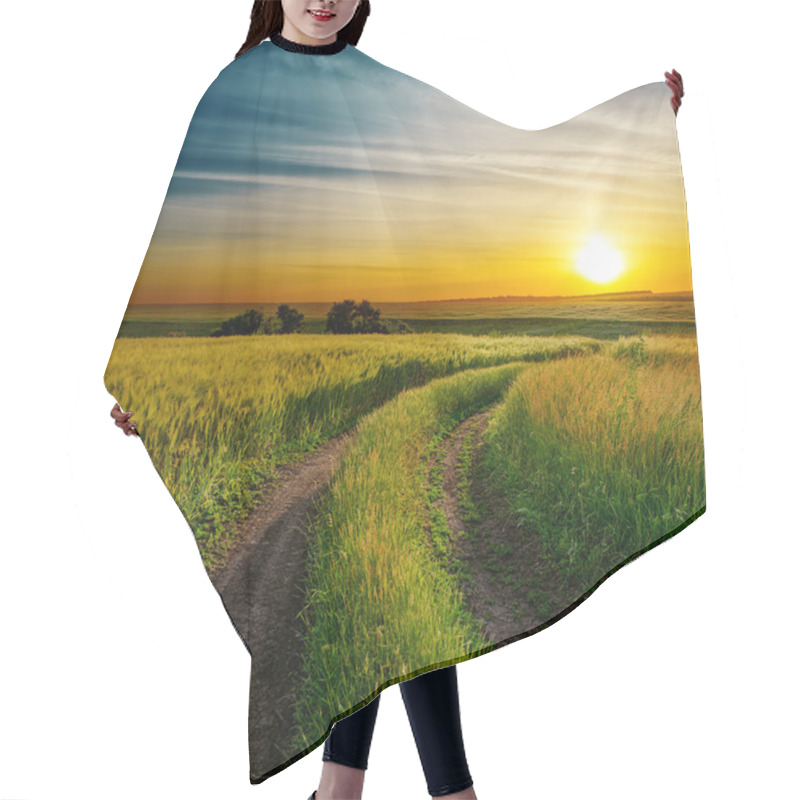 Personality  Good Sunset And Dirty Road In Green Spring Field Hair Cutting Cape