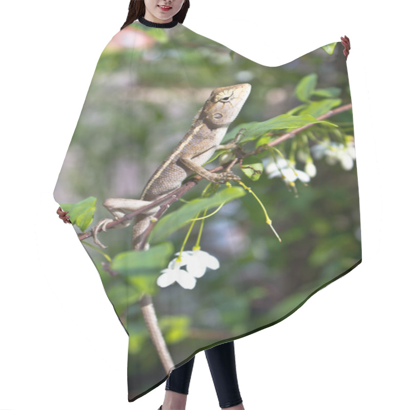 Personality  Bearded Dragon Hanging On The Branch Of Flower Hair Cutting Cape