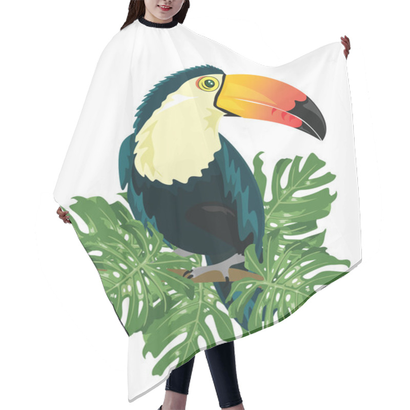 Personality  Vector Toucan Sitting On Tree Branch Isolated Hair Cutting Cape