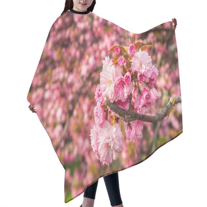 Personality  Pink Blossomed Sakura Flowers Hair Cutting Cape