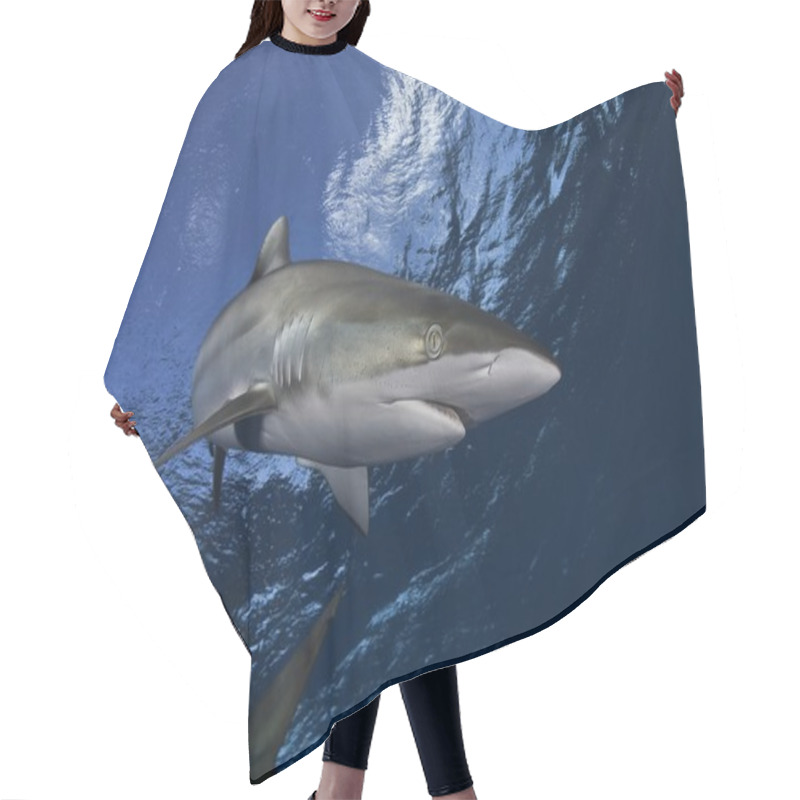 Personality  Dangerous Big Shark Diving Safari Wild  Sea Picture Hair Cutting Cape