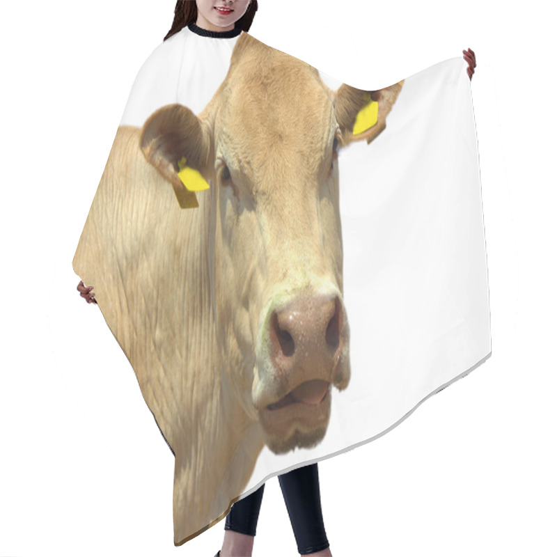 Personality  Funny Cow Face Isolated Hair Cutting Cape