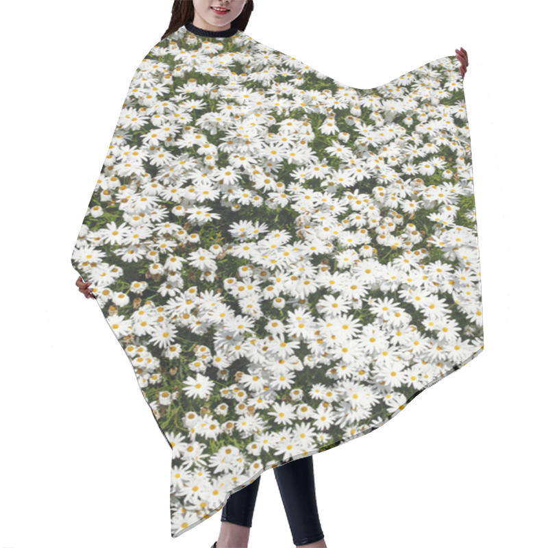 Personality  White Splendour Flower (Anemone Blanda) Hair Cutting Cape