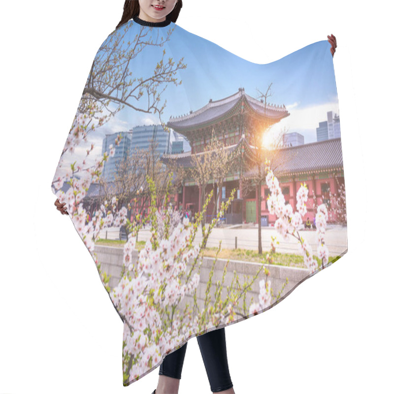 Personality  Gyeongbokgung Palace With Cherry Blossomin Spring In Seoul, South Korea. Hair Cutting Cape