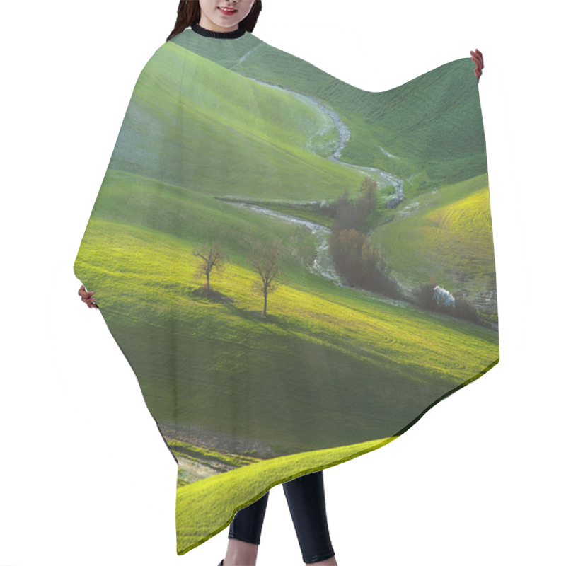 Personality  Tuscan Green Spring At Sunset, Italy Hair Cutting Cape