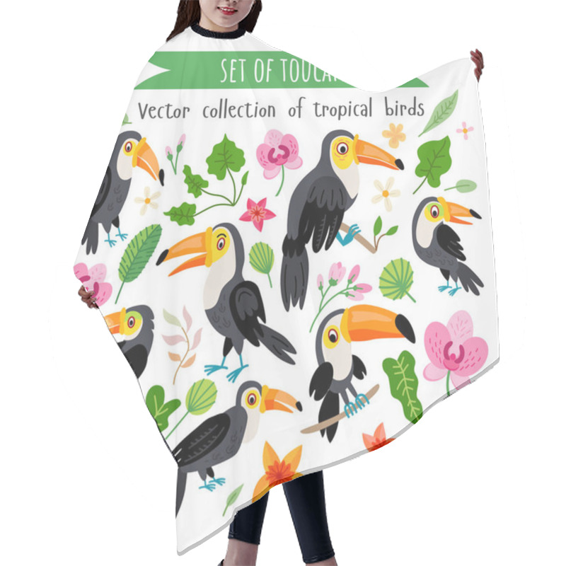 Personality  Vector Set Of Toucans Isolated On White Hair Cutting Cape