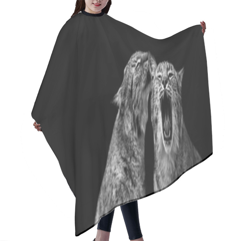 Personality  Lynx With A Black Background Hair Cutting Cape