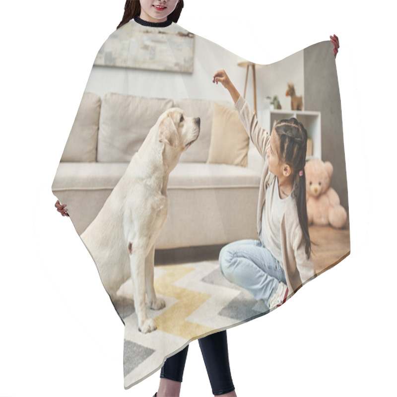 Personality  Cute Girl In Casual Wear Playing With Labrador And Giving Treat In Living Room, Kid Training Dog Hair Cutting Cape