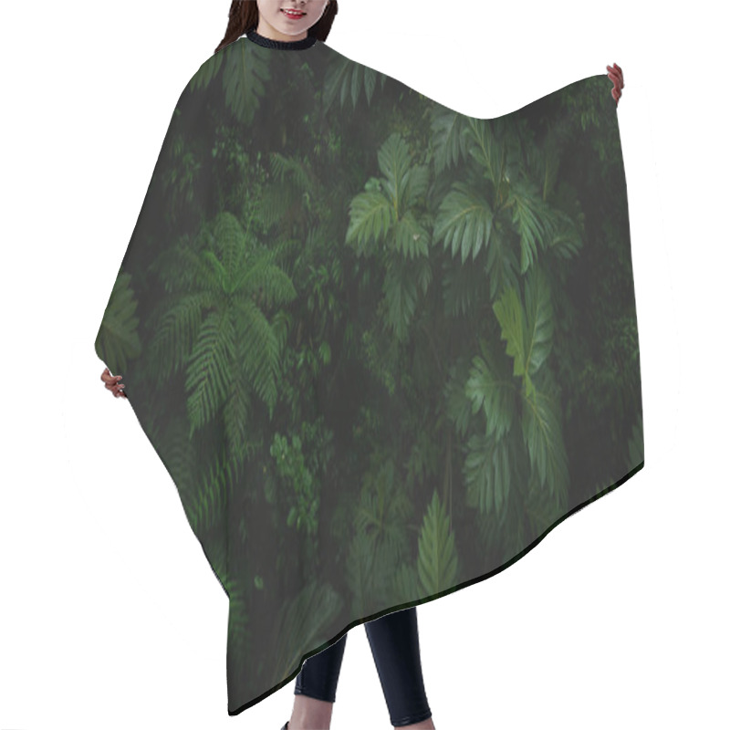 Personality  Tropical Rainforest In Costa Rica Hair Cutting Cape