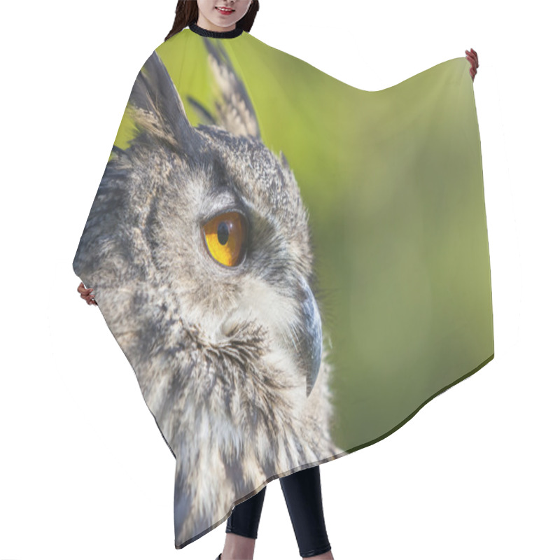 Personality  European Eagle Owl Hair Cutting Cape