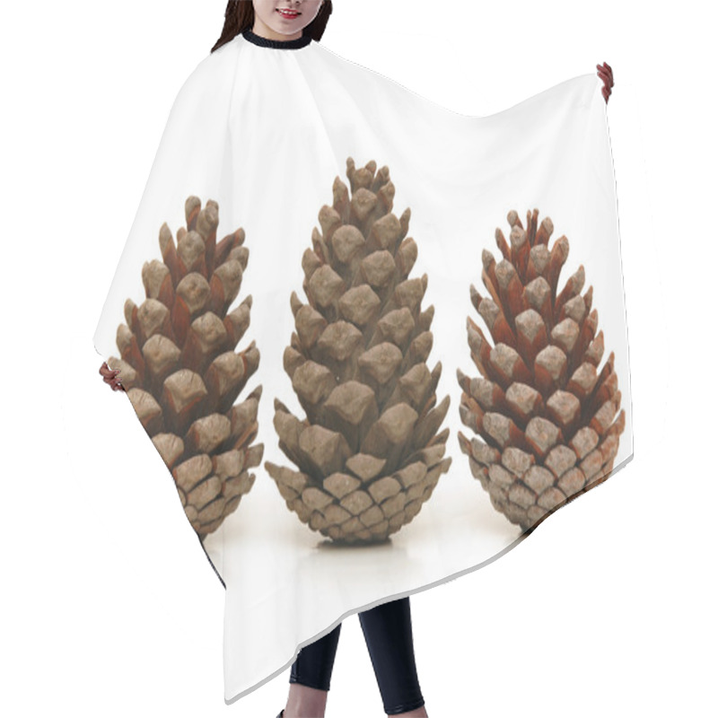 Personality  Three Pine Cones Isolated On White Hair Cutting Cape