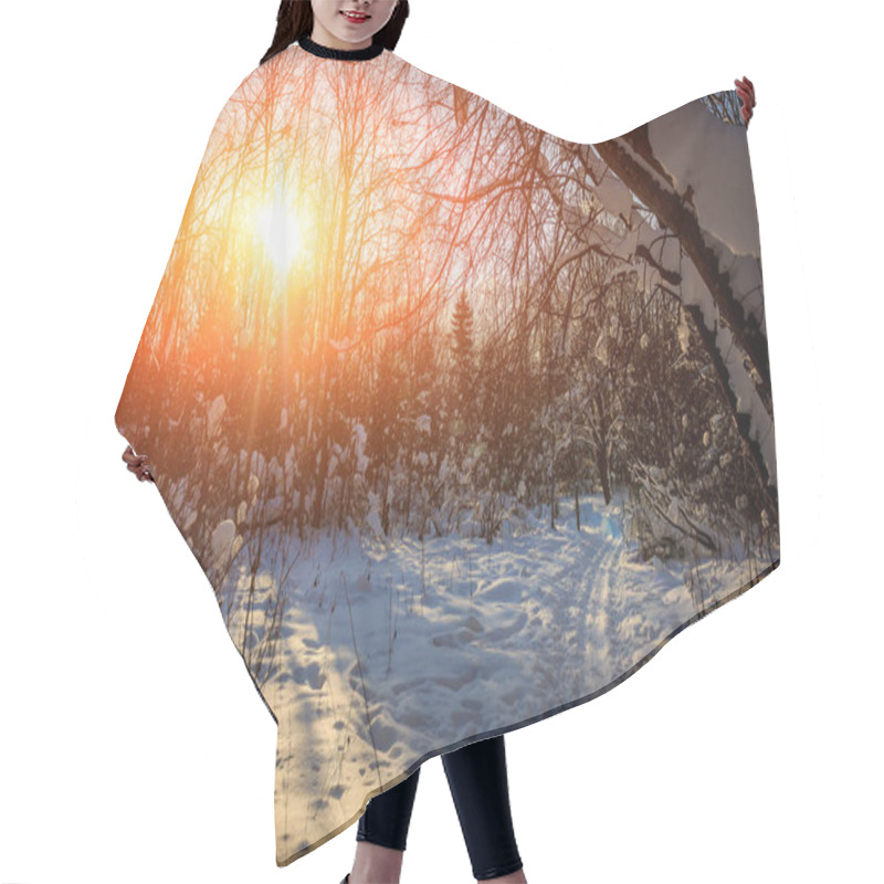 Personality  Snowy Winter Forest On Sunny Day  Hair Cutting Cape