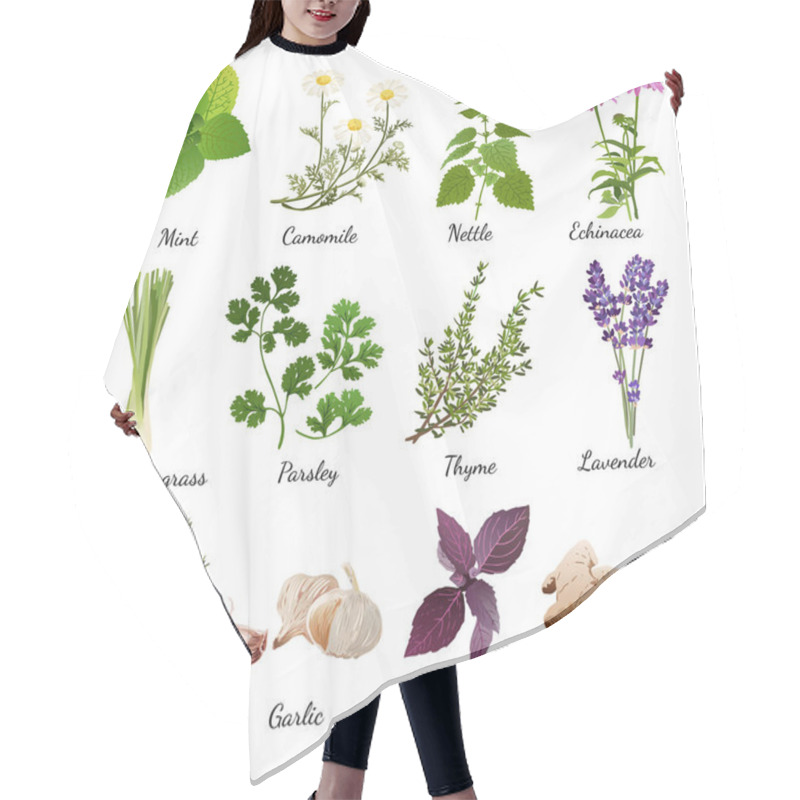 Personality  Spices And Meadow Flowers Herbal Set Hair Cutting Cape