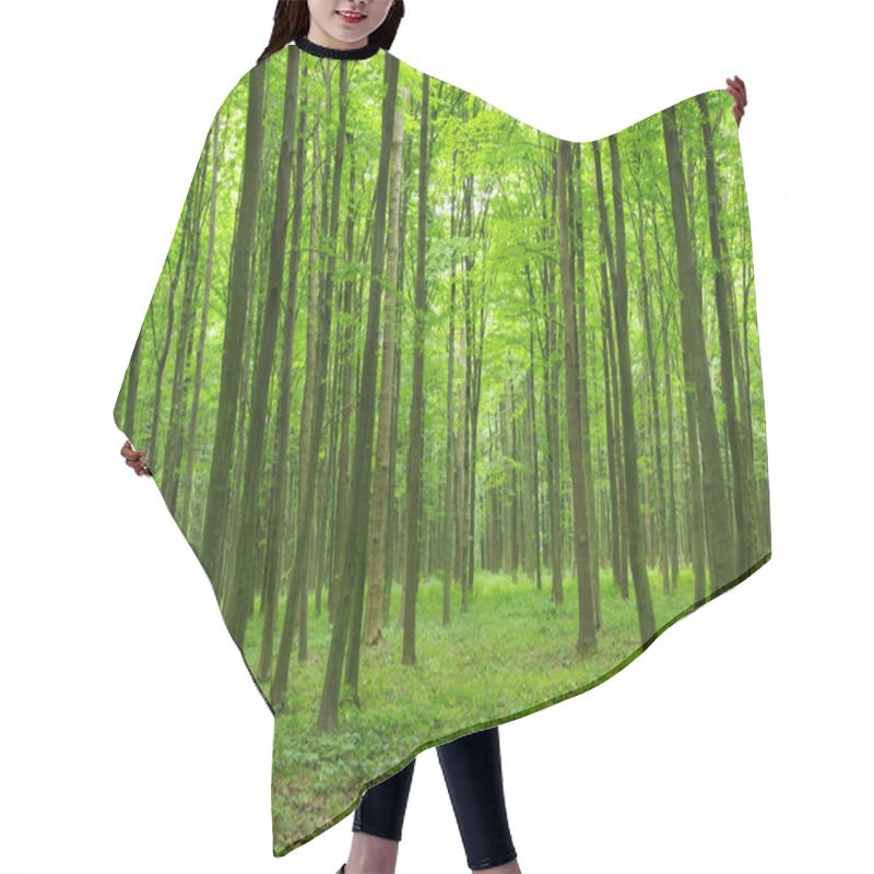 Personality  Forest Hair Cutting Cape