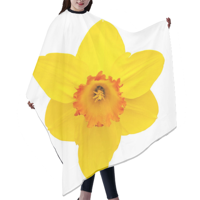 Personality  Daffodil Hair Cutting Cape