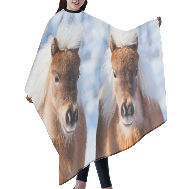 Personality  Ponies In Winter Hair Cutting Cape