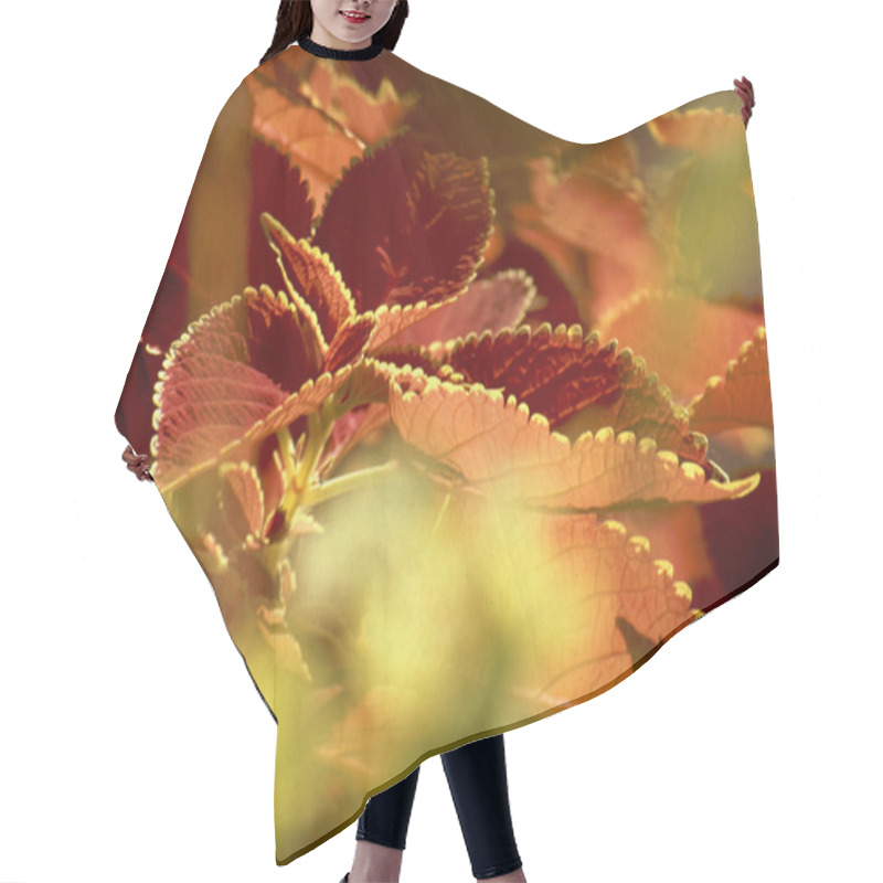 Personality  Leaves With Golden Rims Hair Cutting Cape