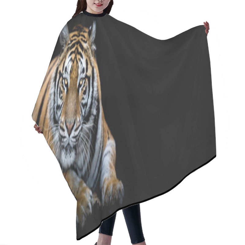 Personality  Tiger With A Black Background Hair Cutting Cape