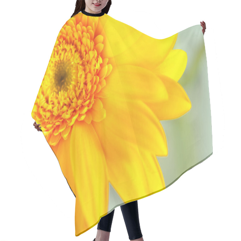 Personality  Yellow Gerbera Closeup Hair Cutting Cape