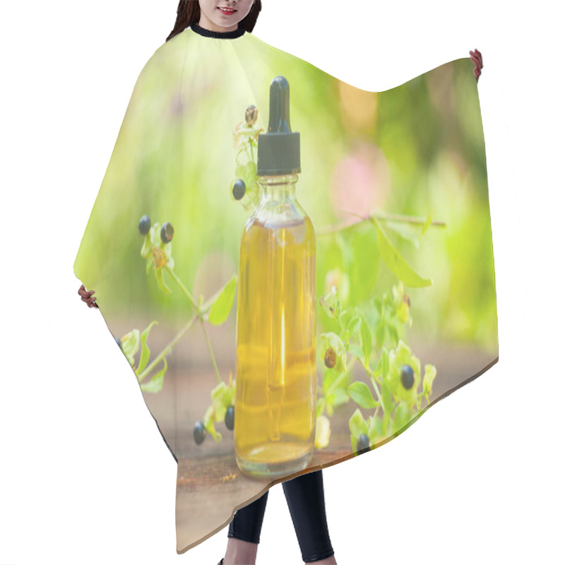 Personality  Belladonna Essential Oil In  Beautiful Bottle On Table Hair Cutting Cape