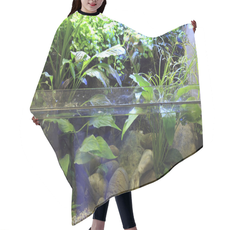 Personality  Planted Aquarium Hair Cutting Cape