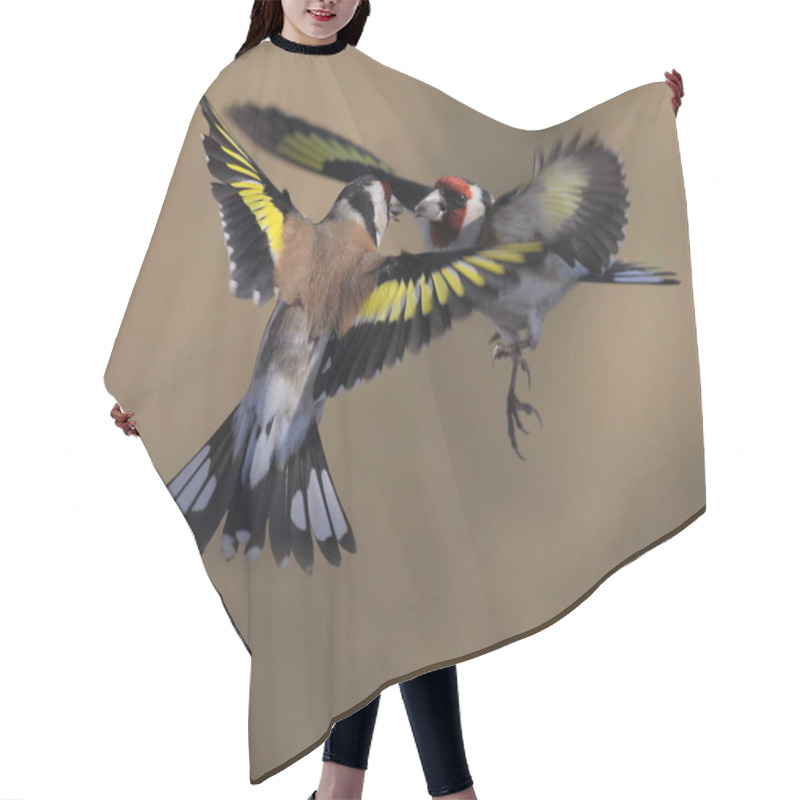 Personality  Duel Of Goldfinches Hair Cutting Cape