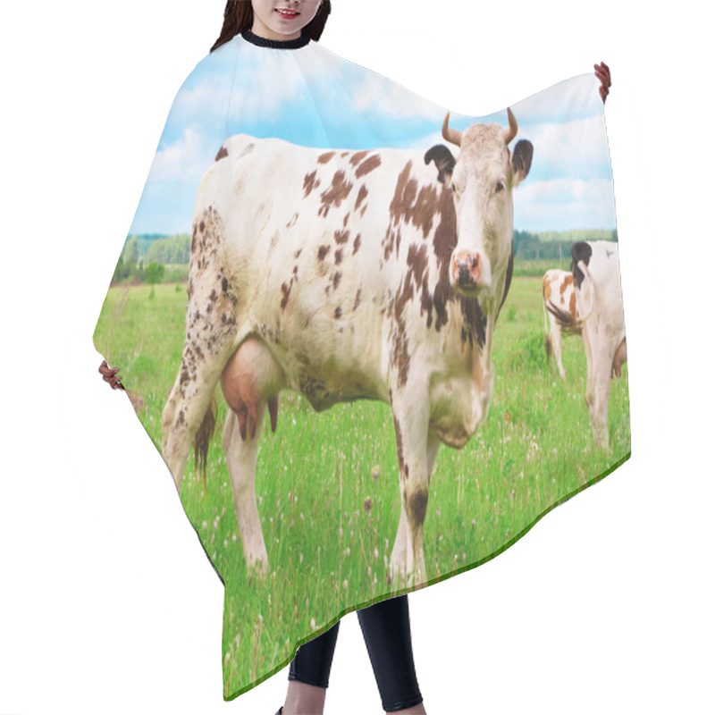 Personality  The Cow Hair Cutting Cape