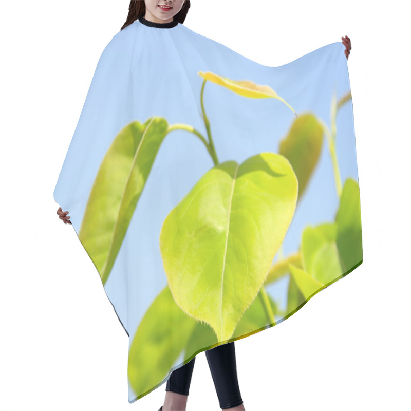 Personality  Pear Leaves Hair Cutting Cape