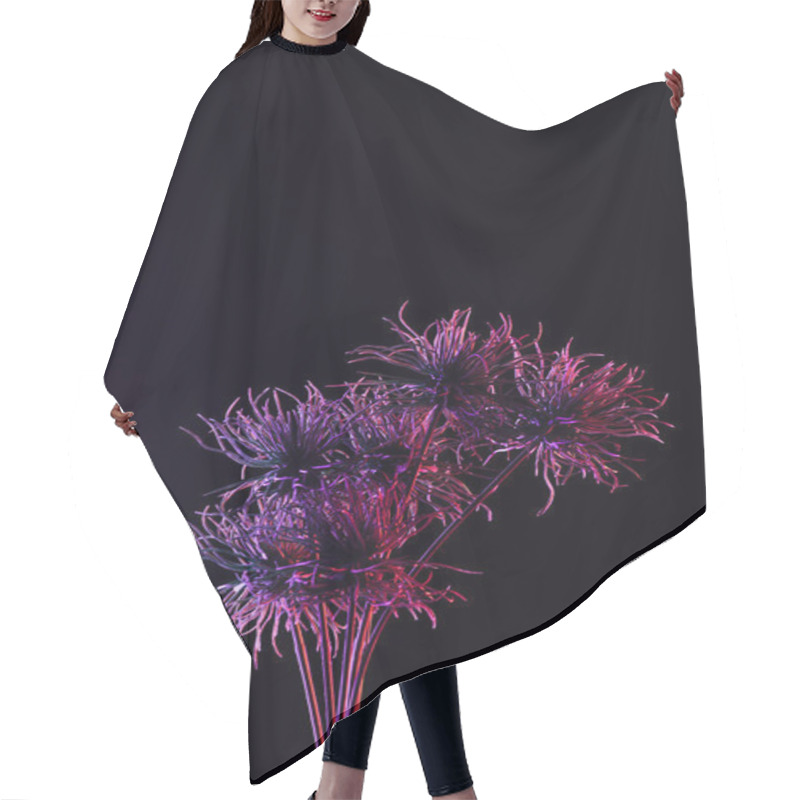 Personality  Toned Picture Of Beautiful Plant With Purple Lighting Isolated On Black Hair Cutting Cape