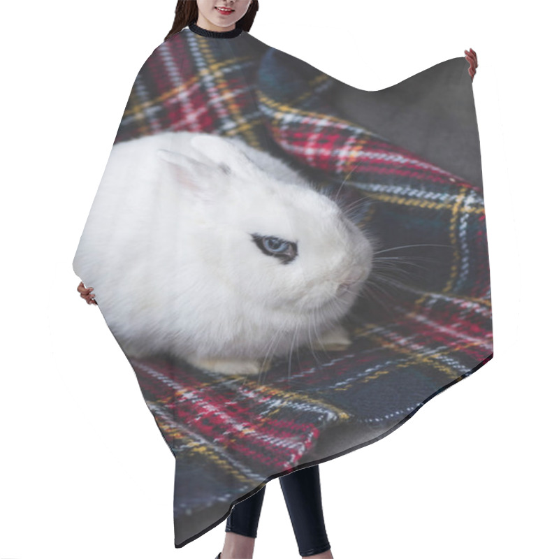 Personality  Cute Rabbit With Black Eye On Checkered Blanket Hair Cutting Cape