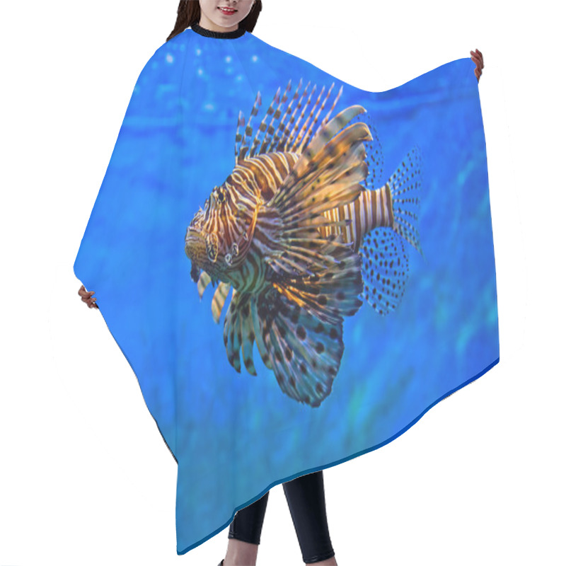 Personality  Lion Fish Swimming Under Water Hair Cutting Cape