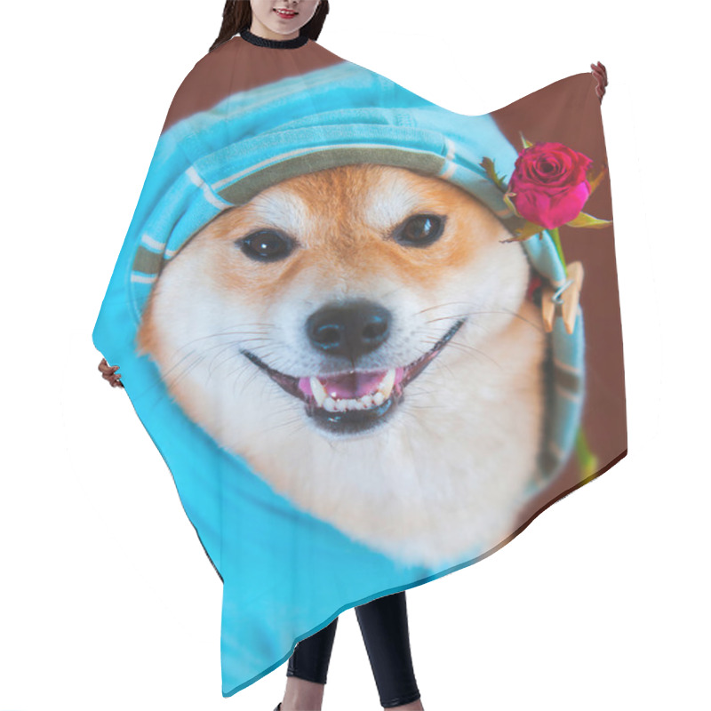 Personality  Happy Smile Form Shiba Inu Dog With Blue Jacket, Hood And Red Rose Hair Cutting Cape