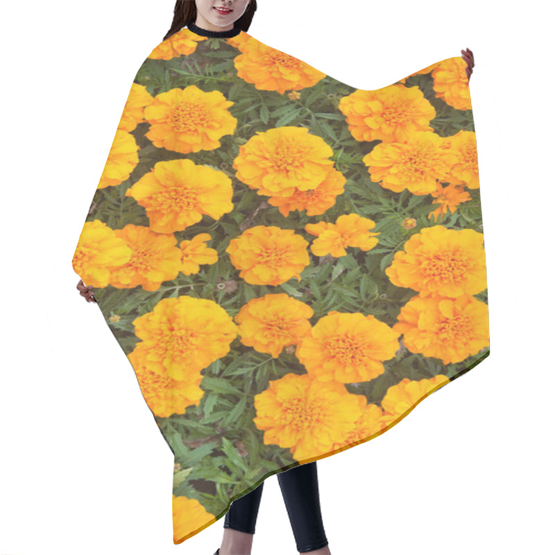 Personality  Beautiful Orange Chrysanthemums, The Top View Hair Cutting Cape