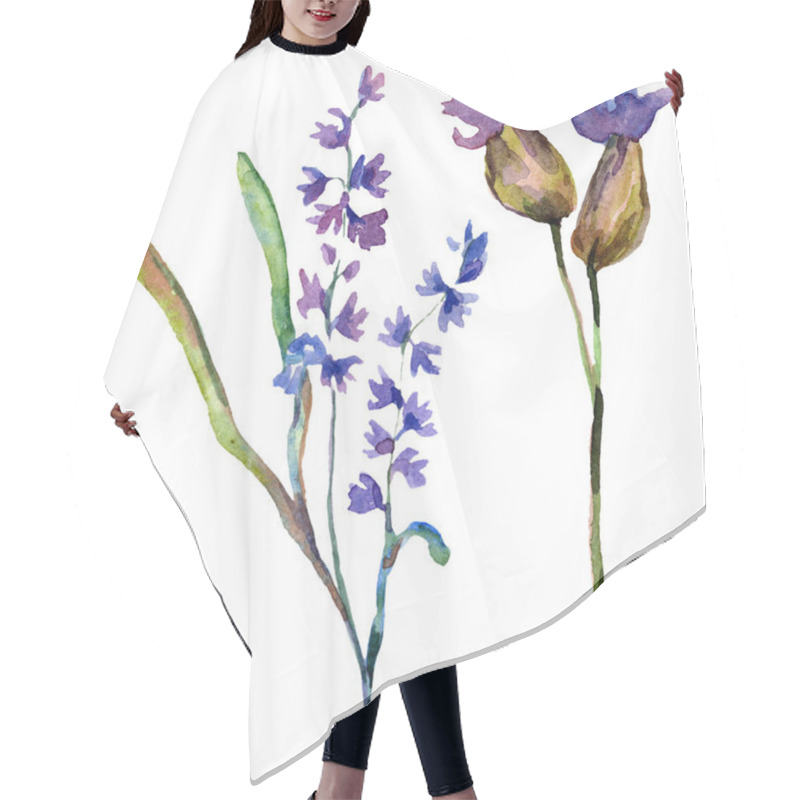 Personality  Purple Lavender Flowers. Wild Spring Wildflowers Isolated On White. Hand Drawn Lavender Flowers In Aquarelle. Watercolor Background Illustration. Hair Cutting Cape