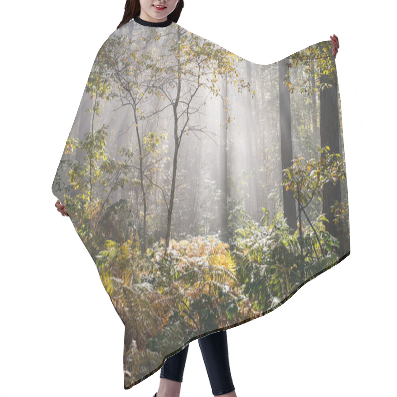 Personality  Wet Autumn Forest With Fog Hair Cutting Cape