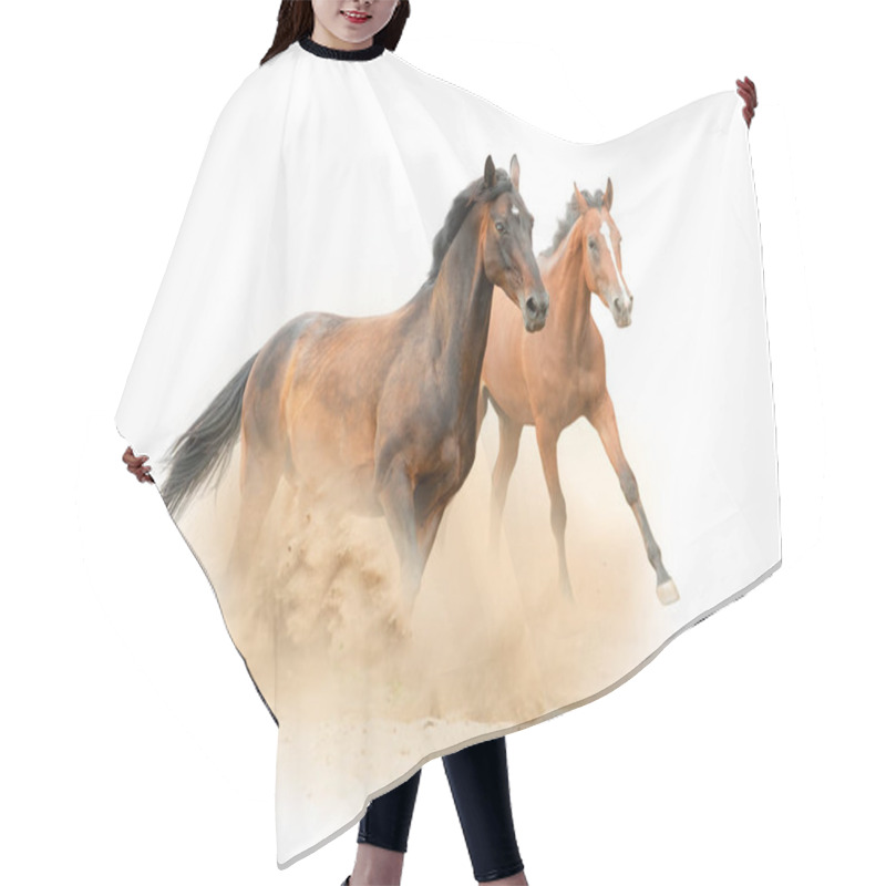 Personality  Beautiful Purebred Horses Running On The Wild Hair Cutting Cape