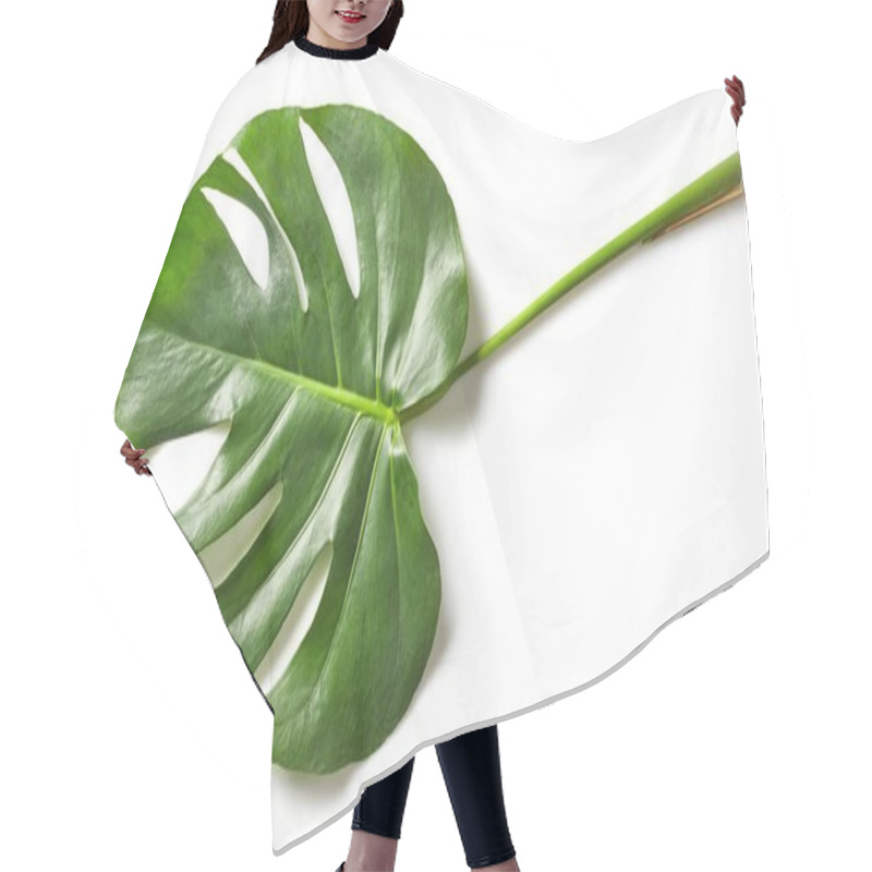 Personality  Leaf Of Monstera Plant Hair Cutting Cape