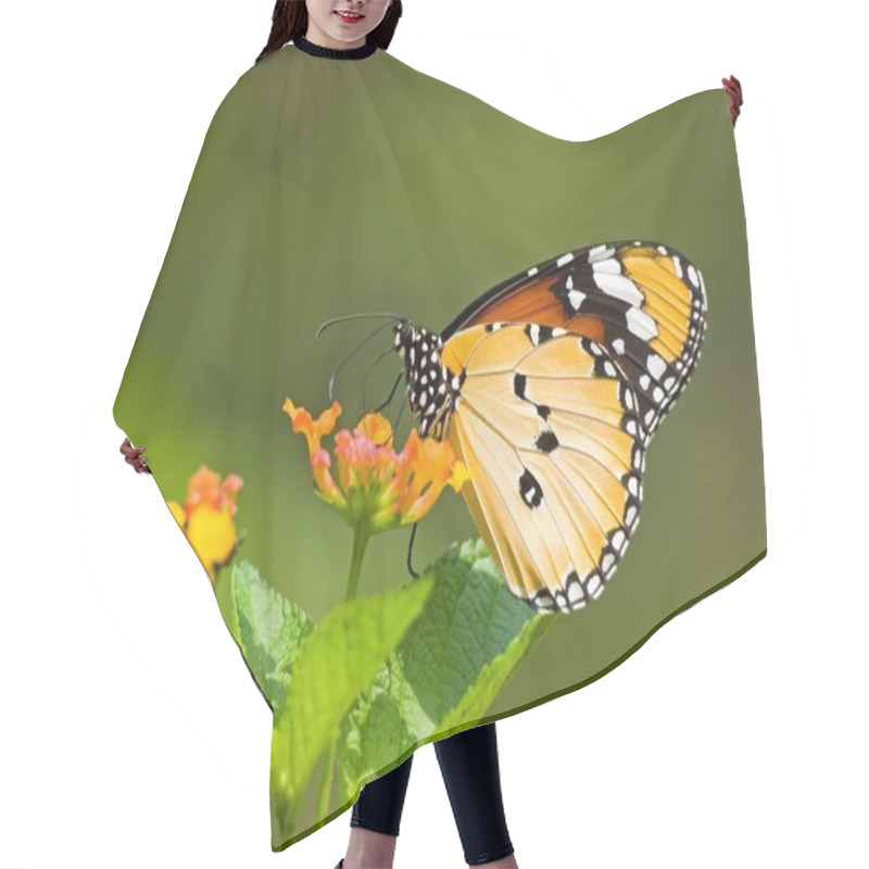 Personality  Milkweed Butterfly Hair Cutting Cape