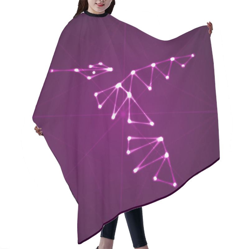 Personality  Abstract Hummingbird Illustration Hair Cutting Cape