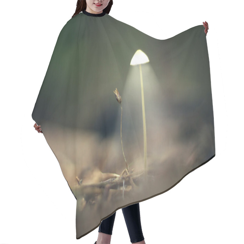 Personality  Mystical Picture Mushrooms Hair Cutting Cape